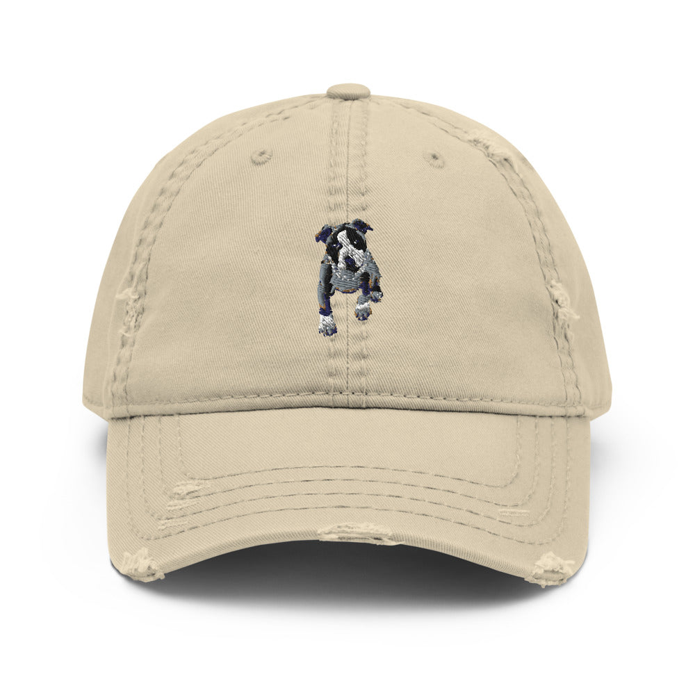 Rich Puppy Distressed Dad Hat