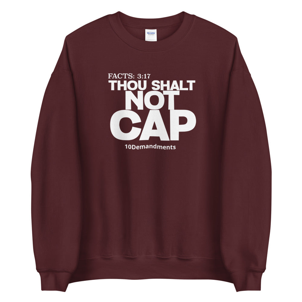 Thou Shalt Not Cap 10 Demandments Sweatshirt No Cap